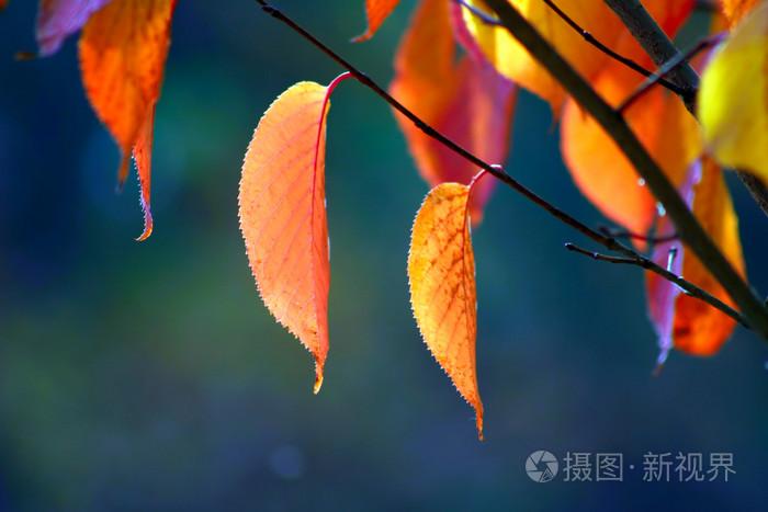 欧美日韩国产精品,亚洲av无码精品网站,言情等小说在线阅读