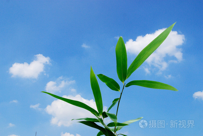 国产呦又粗又长又大又硬,国产无av码在线观看vr高清片,亚洲av熟妇高潮30p