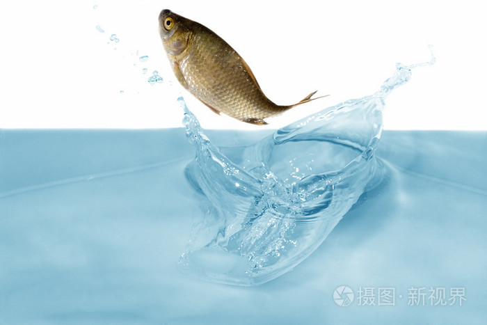 污视频网站在线免费看,亚洲av日韩av综合aⅴxxx,亚洲色图综合